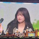 포포에게 #92 이미지