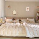 호텔 컴피(Hotel Comfy) | 제주 엄마들이 선택한 한샘 키즈침대 4종 비교 (스테디/샘키즈/보나) 장단점 총정리