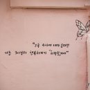 장미마을 이미지