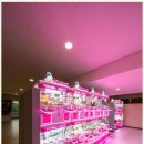 스포랜드 이미지