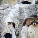 성대2리 이미지