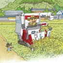 밀짚모자 이미지