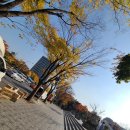 지유명차강남 이미지