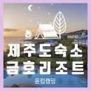 금호분식 - 목포시 백년대로375번길 32 | 제주 금호리조트 숙박 후기 | 오션뷰 + 눈 내리는 제주의 낭만
