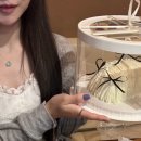 무인46 | [목포/평화광장] 내돈내산 후기 포함 , 목포 24시간 무인케이크 가성비 좋은 기념일 수제 케이크맛집...