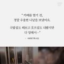 카페모두다