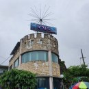 보길도낙지이야기 이미지