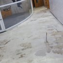 광안동물병원 이미지