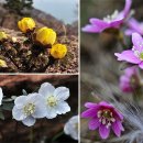 꿈나무어린이공원 앞 이미지