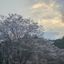 동명길 티스토리