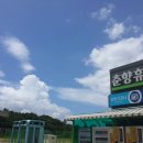 생활한지 Daum카페