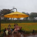 장성직구 이미지