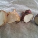 아미산농장 이미지