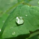 옐로우케어 이미지