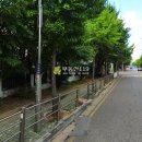 후정동로 이미지