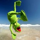 뉴욕치과병원 이미지