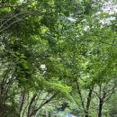 유라 한정식 이미지