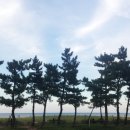 메이즈 뮤지움 이미지