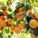 옥천세탁 이미지