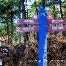 산청 사랑채 펜션 이미지