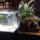 에스엔알(SNR) 이미지