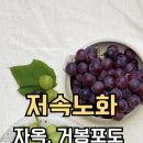 재우농장 이미지