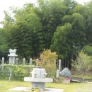 한국대나무박물관 이미지