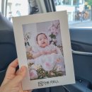 강남 더렐스튜디오 200일 아기 사진 후기 : 인물 중심 자연광 스튜디오
