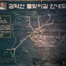 제208차 거창 감악산(952m) 아스타 국화 축제 이미지