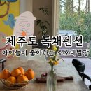 소호별장 | 제주도독채펜션 소호네별장 내돈내산 후기