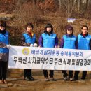 사자골 약수터 Daum카페