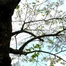 주간 뉴스타파 라이브] 이준석 &#39;거짓말&#39;과 명태균 &#39;카카오톡&#39;&#39; (이슬기 기자, 박종화 PD) 이미지