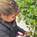 열린지역아동센터 | 군산 열린학교 지역아동센터 밝고 유쾌한 친구들과 현명한 선생님들께서 알찬시간 보냈어요