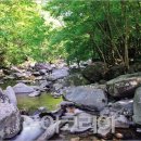 무릉도원 이미지