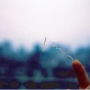 재미있는 상상 이미지