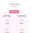 저단22 네이버블로그