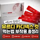 넥스 | 뮤르디 카디넥스 컷 CDX-R3 내돈내산 후기는? 먹는법 부작용 알고 가세요!