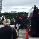 마담 플라워 | 노랑풍선 싱가포르 패키지 후기 모녀여행 3박5일 일정 (1일 자유여행 포함)