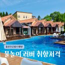 용인프로방스펜션2 | 용인 양지 독채펜션, 키즈룸+키즈풀까지 완벽했던 용인프로방스펜션