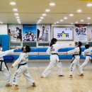한국체대스타태권도장 이미지