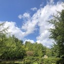 클럽인너호텔앤리조트 이미지