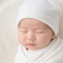 바람과 빛, 민화 소품 만들기 | 2025년 10~12월 (민화전시 출품, 밤 러버, 국화축제, 문화생활, 만삭촬영, 장기입원)