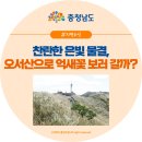 오서산억새풀마을 영농조합법인 | 찬란한 은빛 물결, 오서산으로 억새꽃 보러 갈까?