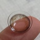비터로브