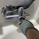 칠괴 우림필유 이미지