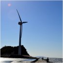 탄도항 누에섬 펜션 이미지