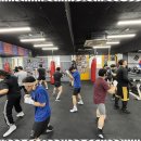 대한체육관 이미지