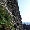 강인목장 이미지