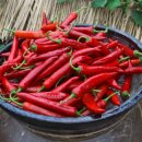 신흥건조기합천군대리점 이미지