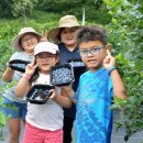 순창농장 이미지